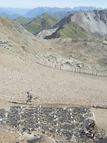 Click on the photo for the orgiginal