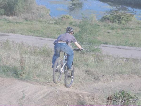 Click on the photo for the orgiginal