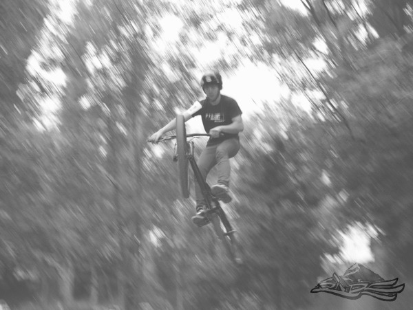 Click on the photo for the orgiginal