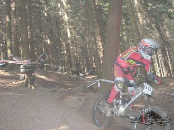 Click on the photo for the orgiginal