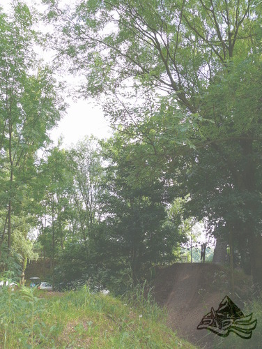 Click on the photo for the orgiginal