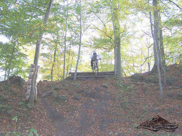 Click on the photo for the orgiginal