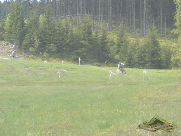 Click on the photo for the orgiginal