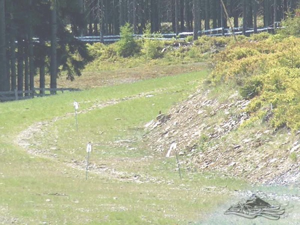 Click on the photo for the orgiginal