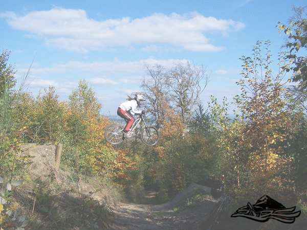 Click on the photo for the orgiginal