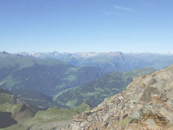 Click on the photo for the orgiginal