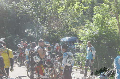 Click on the photo for the orgiginal