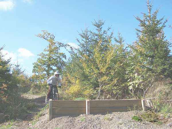 Click on the photo for the orgiginal