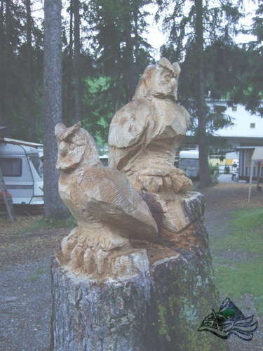 Click on the photo for the orgiginal