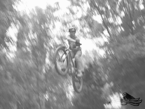 Click on the photo for the orgiginal