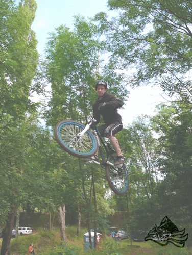 Click on the photo for the orgiginal