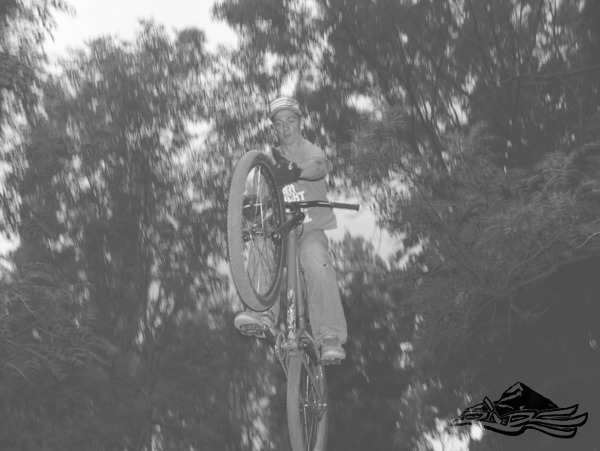 Click on the photo for the orgiginal