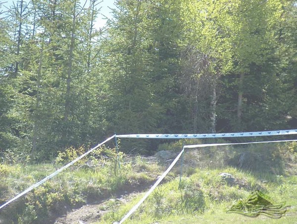 Click on the photo for the orgiginal