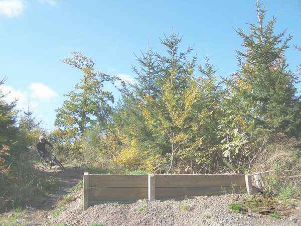 Click on the photo for the orgiginal