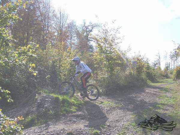 Click on the photo for the orgiginal