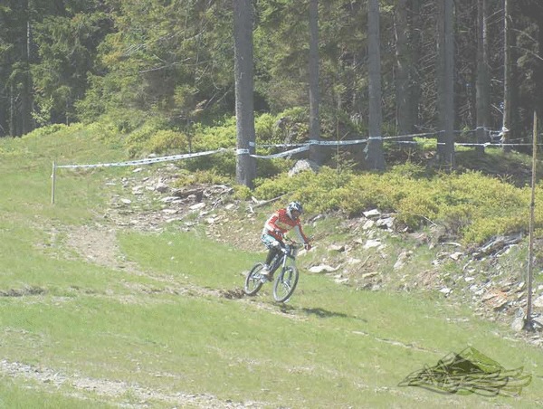 Click on the photo for the orgiginal