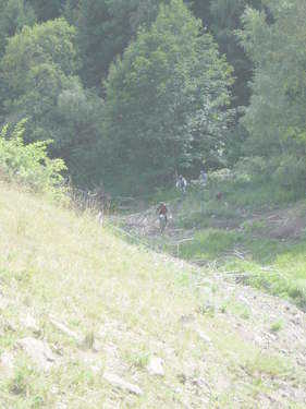 Click on the photo for the orgiginal