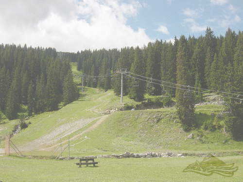 Click on the photo for the orgiginal