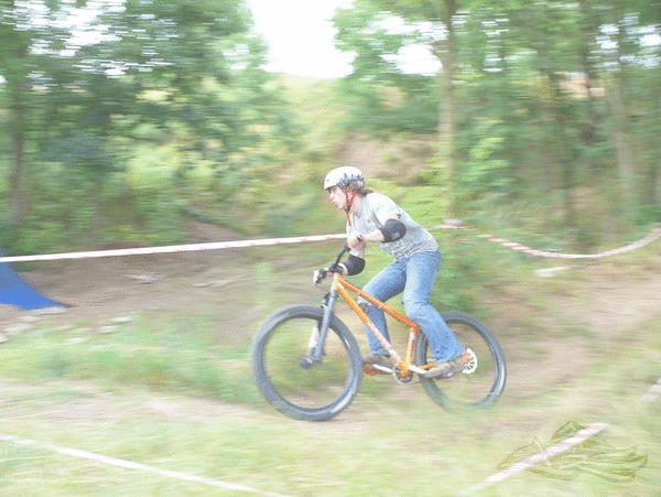 Click on the photo for the orgiginal