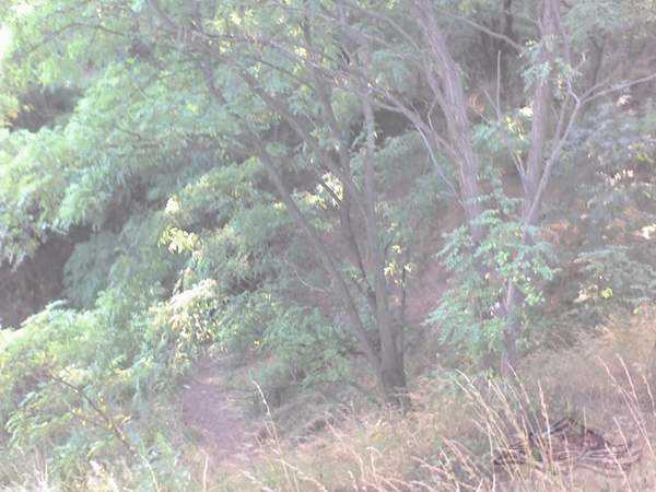 Click on the photo for the orgiginal Click on the photo for the orgiginal