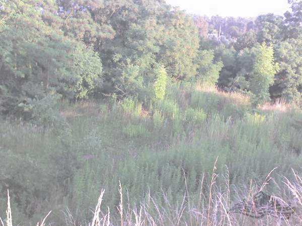 Click on the photo for the orgiginal Click on the photo for the orgiginal