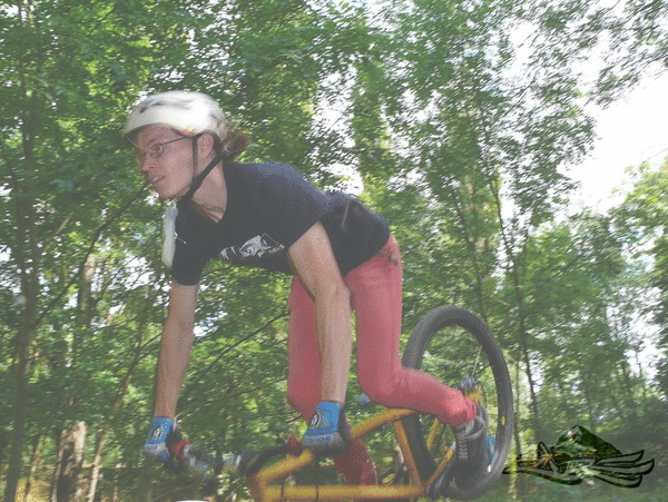 Click on the photo for the orgiginal