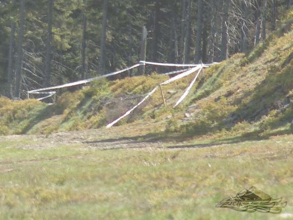 Click on the photo for the orgiginal