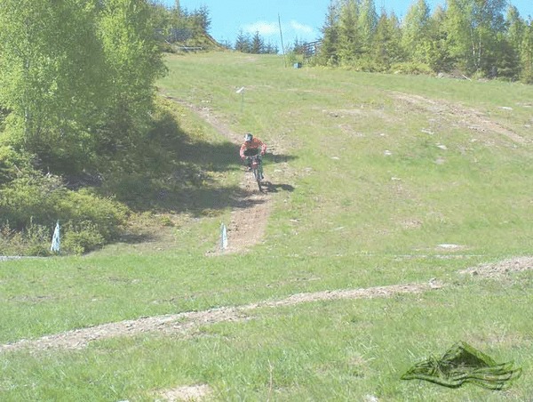 Click on the photo for the orgiginal