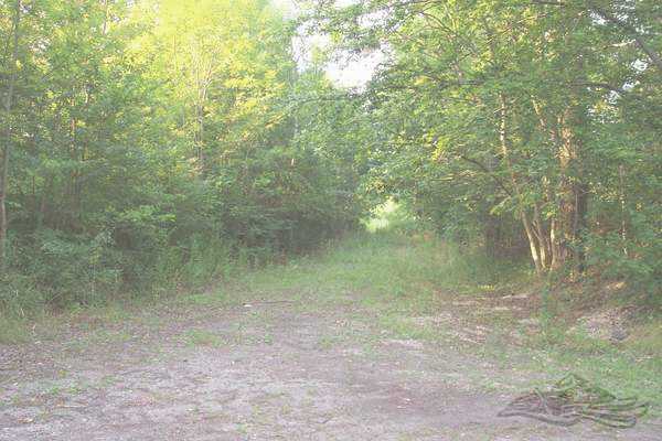 Click on the photo for the orgiginal Click on the photo for the orgiginal