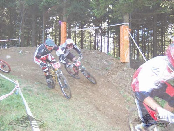 Click on the photo for the orgiginal