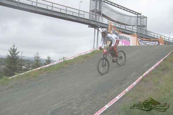 Click on the photo for the orgiginal