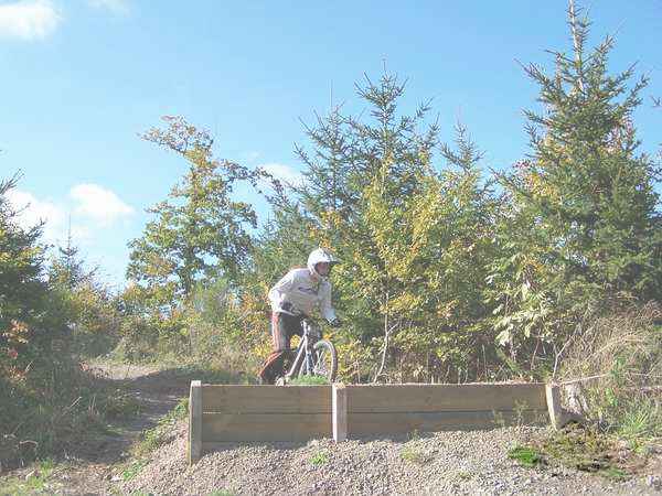 Click on the photo for the orgiginal