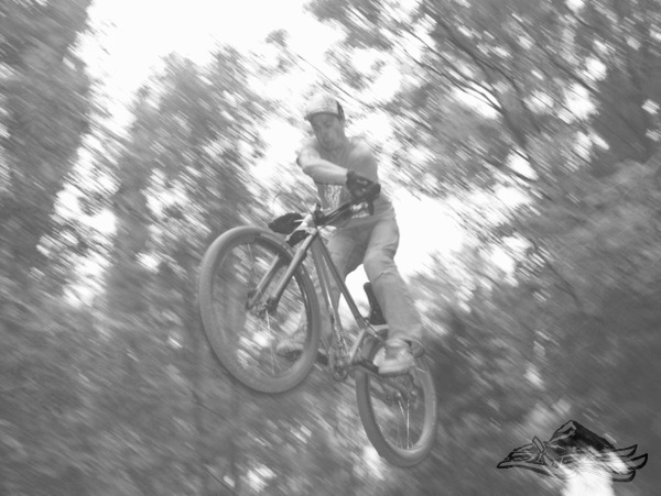 Click on the photo for the orgiginal