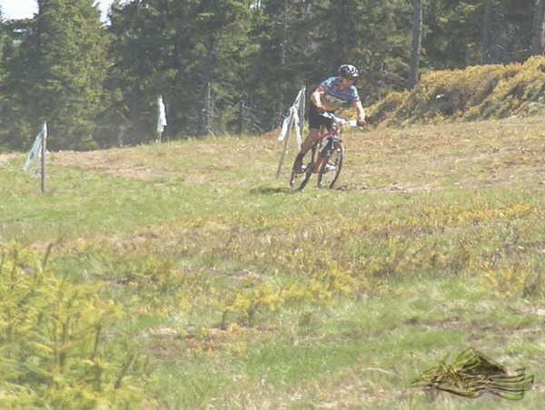 Click on the photo for the orgiginal