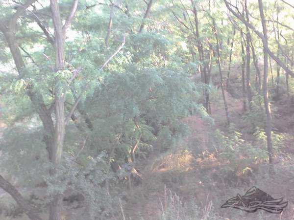 Click on the photo for the orgiginal Click on the photo for the orgiginal