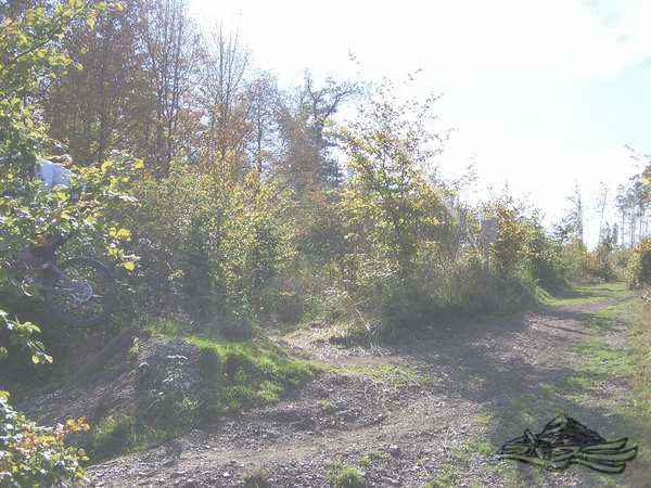 Click on the photo for the orgiginal