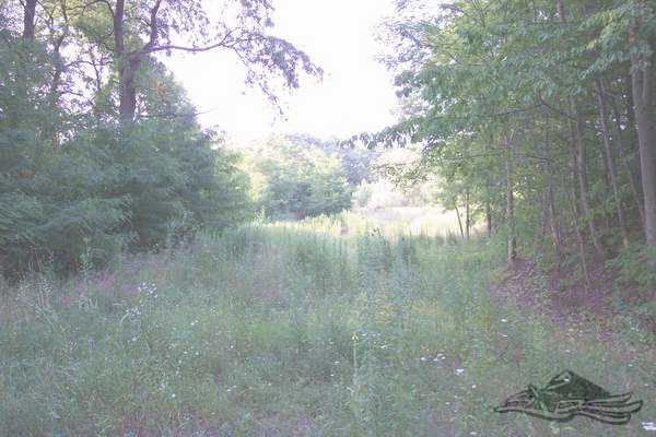 Click on the photo for the orgiginal Click on the photo for the orgiginal