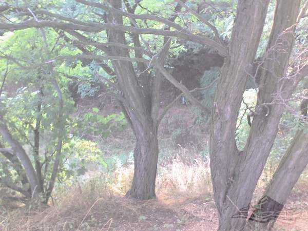 Click on the photo for the orgiginal Click on the photo for the orgiginal