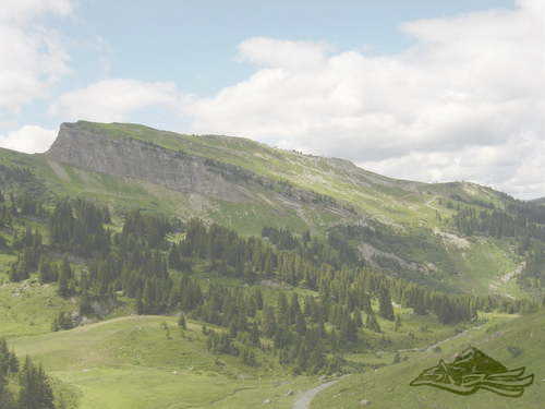 Click on the photo for the orgiginal