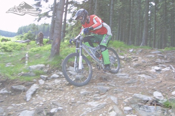 Click on the photo for the orgiginal