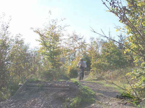 Click on the photo for the orgiginal