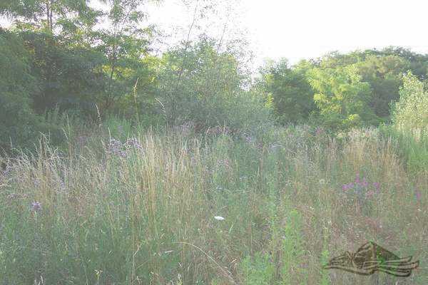 Click on the photo for the orgiginal Click on the photo for the orgiginal