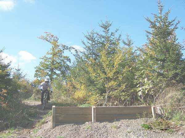 Click on the photo for the orgiginal