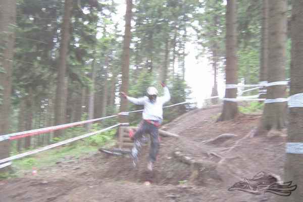 Click on the photo for the orgiginal