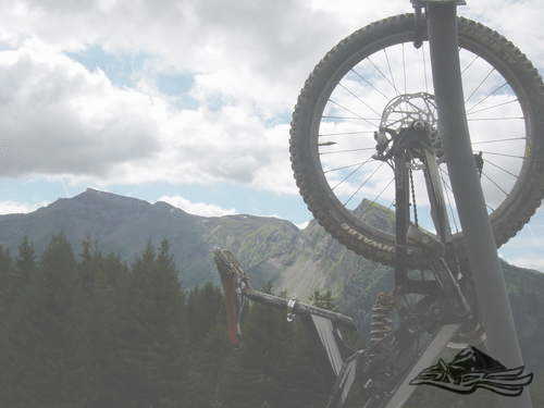 Click on the photo for the orgiginal