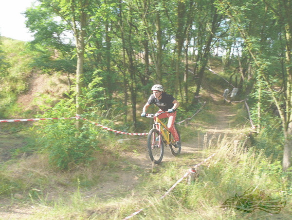 Click on the photo for the orgiginal