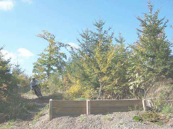 Click on the photo for the orgiginal