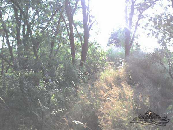 Click on the photo for the orgiginal Click on the photo for the orgiginal