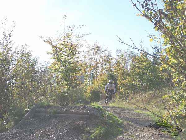 Click on the photo for the orgiginal