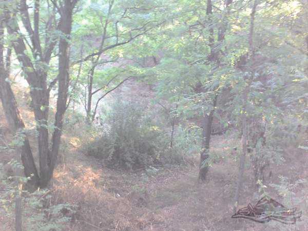 Click on the photo for the orgiginal